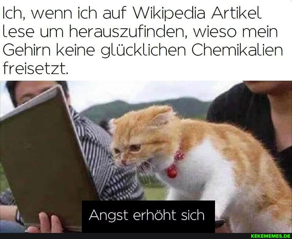 Ich, wenn ich auf Wikipedia Artikel lese um herauszufinden, wieso mein
Gehirn keine glücklichen Chemikalien
freisetzt.
Angst erhöht sich