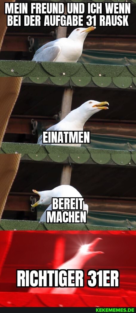 MEIN FREUND UND ICH WENN BEI DER AUFGABE 31 RAUSK
EINATMEN
BEREIT,
MACHEN
RICHTIGER 3IER