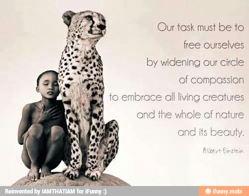 Our task must be to
free ourselves
by widening our
circle
of compassion
brace
all living creatures