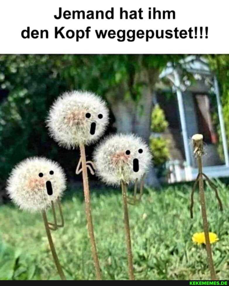 Jemand hat ihm den Kopf weggepustet!!!