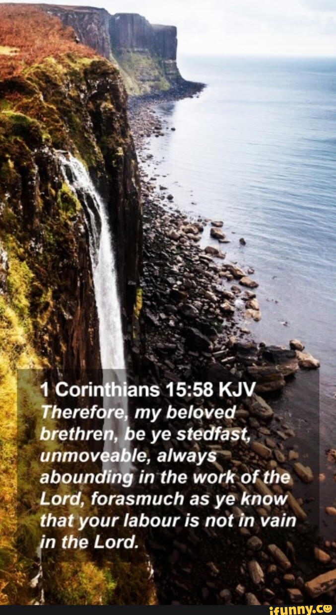1 Corinthians Kjv Therefore My Beloved Brethren Be Ye Stedfast Le