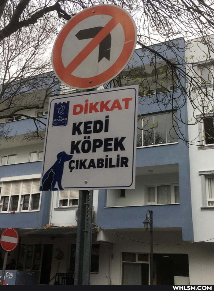 IR I
CIKABÍL
ji o