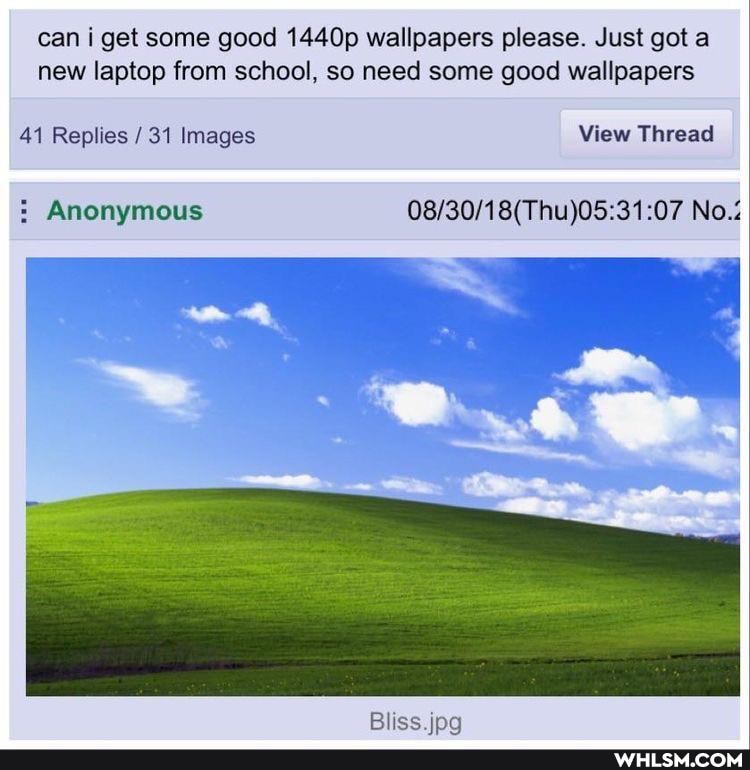can i get some good 1440p wallpapers please. Just got a new laptop from school, so need some good wallpapers
41 Replies / 31 Images View Thread
: Anonymous No.:
Bliss ing