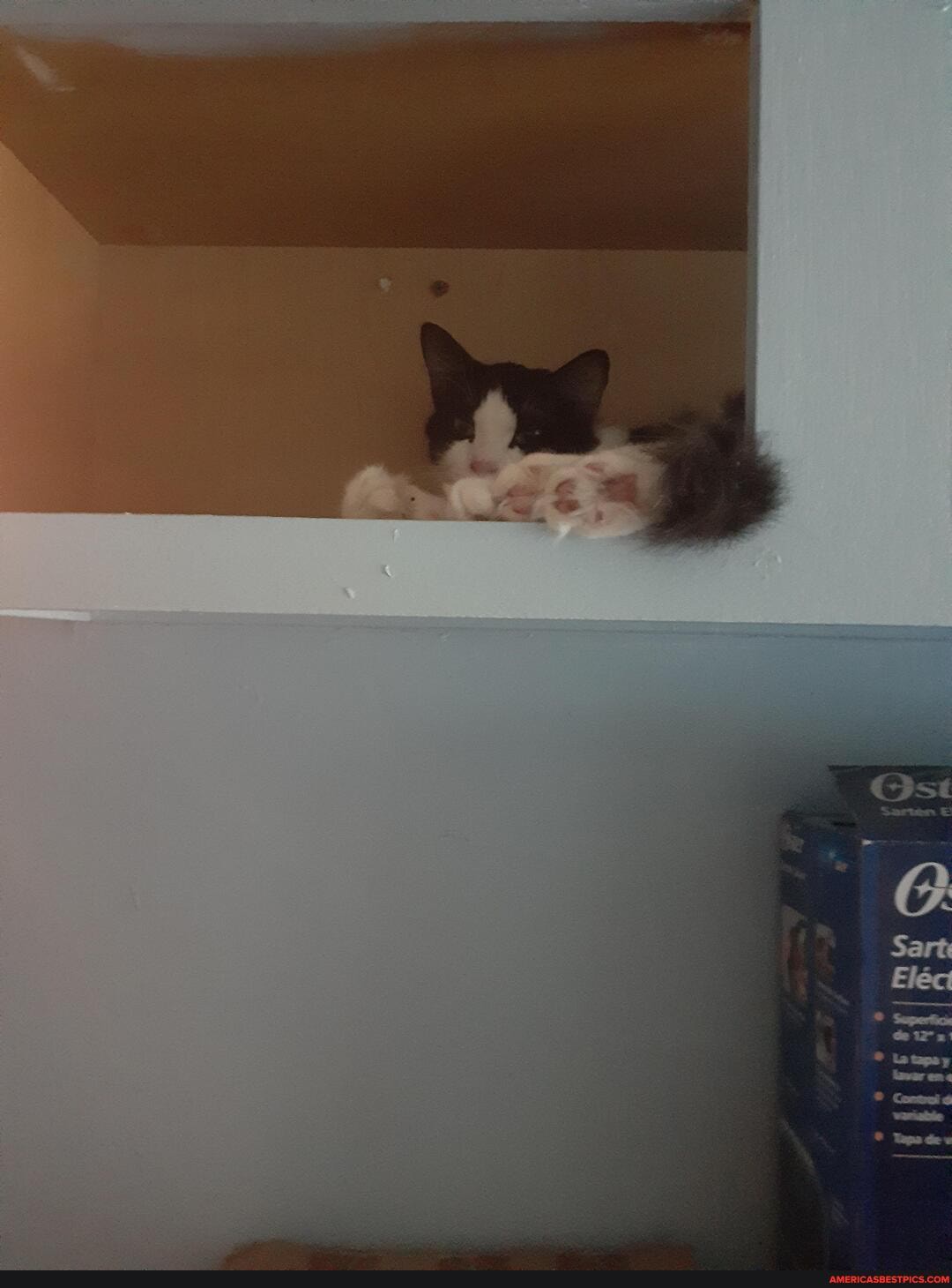 ill, cabinet