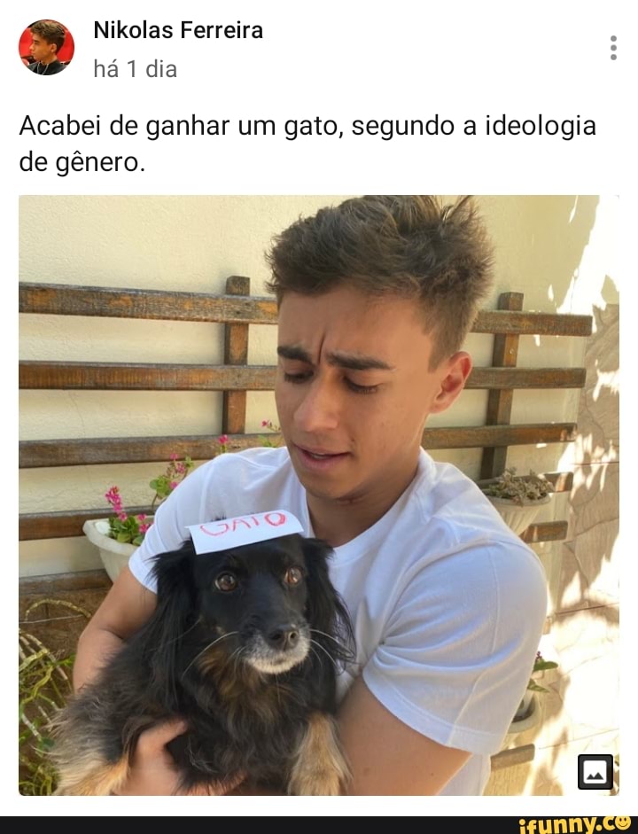 Nikolas Ferreira
há dia
Acabei de ganhar um gato, segundo a ideologia de gênero.