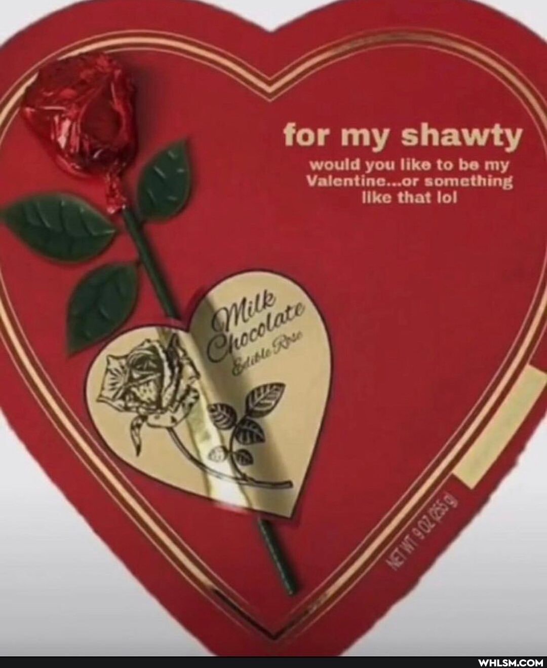 { for my shawty
would you like to be my
Valentine...or something like that lol