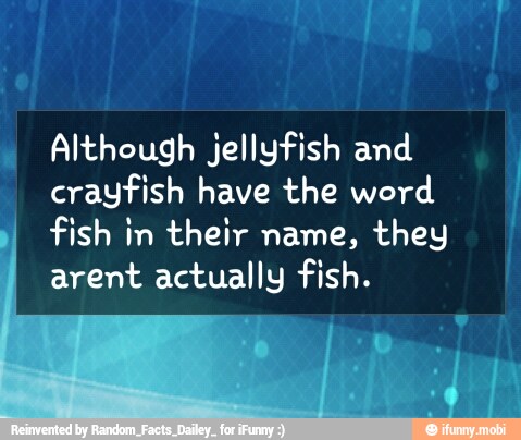 Although jellyfish and
crayfish have the word
fish in their name, they
arent actually fish.
Í