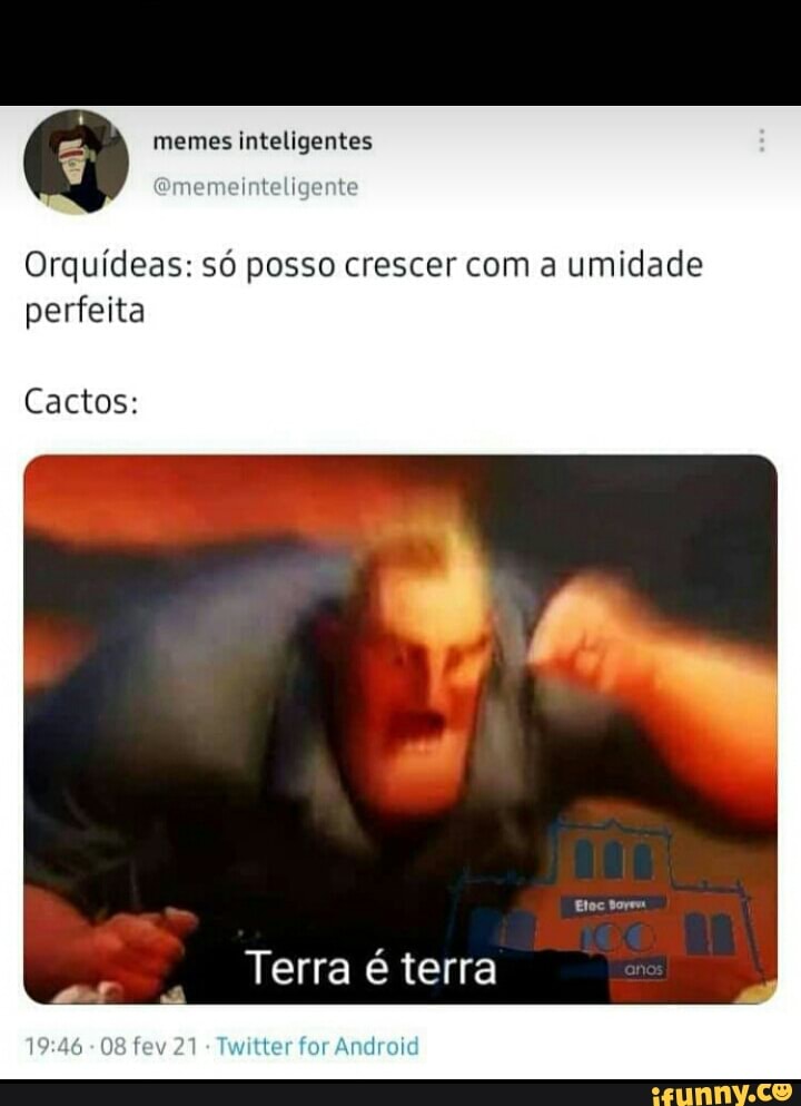 memes inteligentes
Ememeinteligente
Orquídeas: só posso crescer com a umidade perfeita
Cactos:
Terra éterra
for Android
