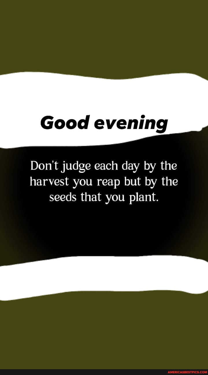 Good evening
Don't judge each day by the harvest you reap but by the seeds that you plant.