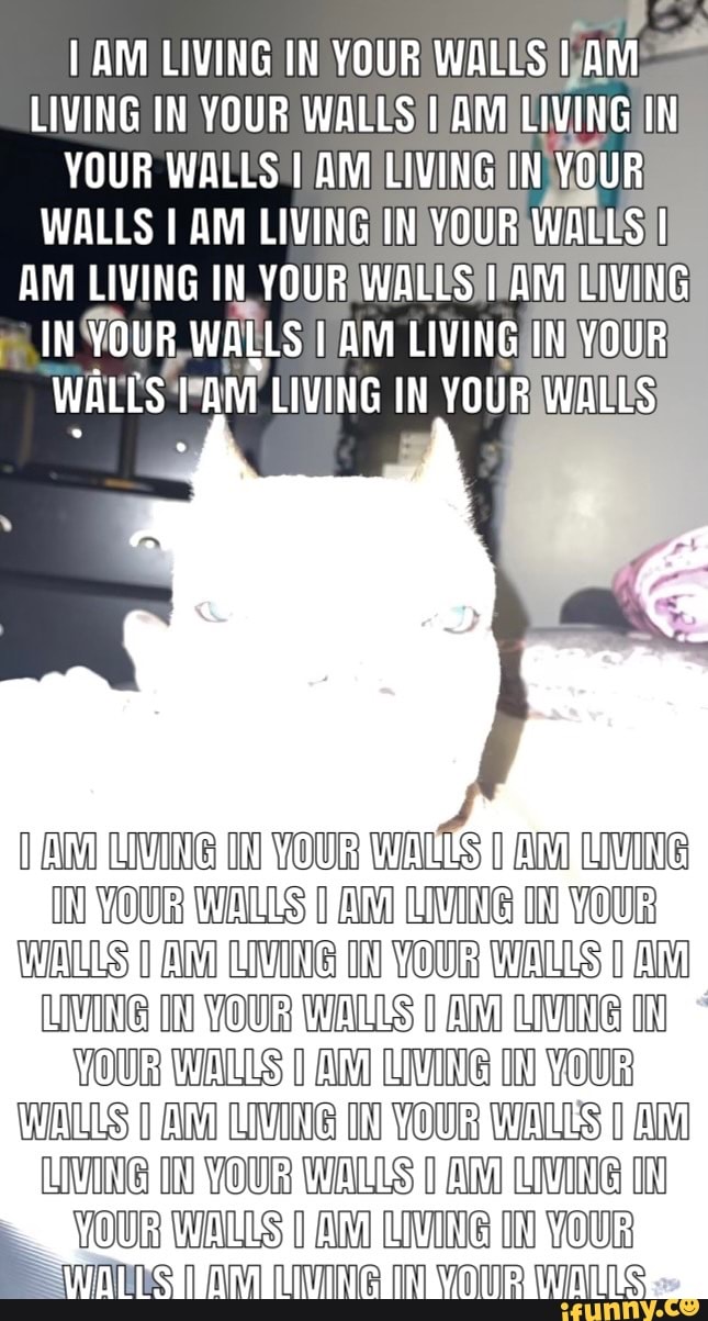 AM LIVING IN YOUR WALLS LIVING IN YOUR WALLS I AM LIVING IN YOUR WALLS