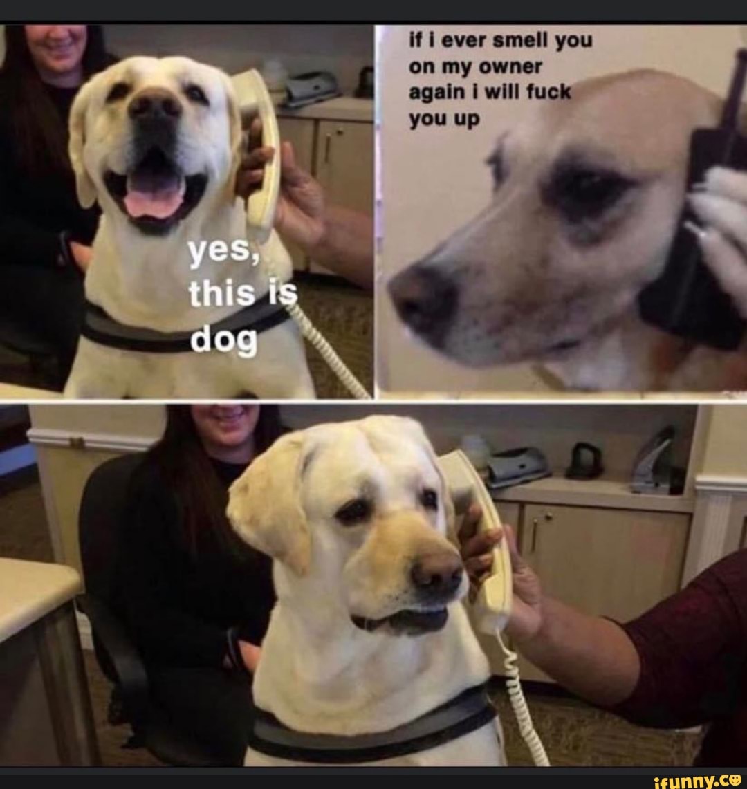 if i ever sme you
on my owner again will fuck
yes.
this
dog