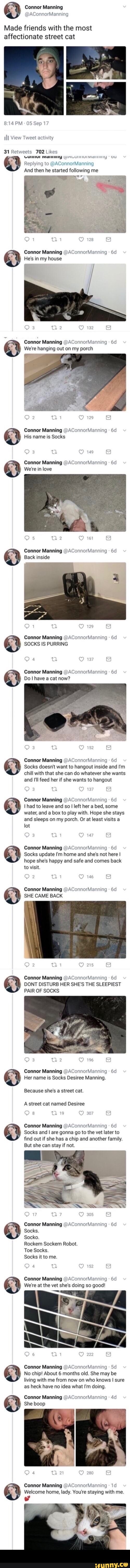 Conner Manning
Made friends with the most affectionate street cat
PM OS Sep 17
ill View Tweet activity
702
MaMY WALUNNIULIvIANHNNIY OW
&3 Replying And to then he @AConnorManning started following me
And then he started following me
Wi
Conner Manning @AConnorManning
He's in my house
Connor Manning @AConnorManning
We're hanging out on my porch
Qi
Connor Manning @AConnorManning
His name is Socks
Connor Manning @AConnorManning
We're in love
Conner Manning @AConnorManning
Back inside
Connor Manning @AConnorManning
SOCKS IS PURRING
Conner Manning @AConnorManning
Do have a cat now?
Conner Manning @AConnorManning
Socks doesn't want to hangout inside and I'm chill with that she can do whatever she wants and I'll feed her if she wants to hangout
ow
Conner Manning @AConnorManning
had to leave and so I left her a bed, some water, and a box to play with. Hope she stays and sleeps on my porch. Or at least visits a lot
1 14 8
Connor Manning @AConnorManning
Socks update I'm home and she's not here I hope she's happy and safe and comes back to visit.
Bi
Conner Manning @AConnorManning Ed
SHE CAME BACK
as
Conner Manning @AConnorManning -Gel
DONT DISTURB HER SHE'S THE SLEEPIEST
PAIR OF SOCKS
Qa
Conner Manning @AConnorManning
Her name is Socks Desiree Manning.
Because she's a street cat.
A street cat named Desiree
19 30)
Conner Manning @AConnorManning
Socks and I are gonna go to the vet later to find out if she has a chip and another family.
But she can stay if not.
Connor Manning @AConnorManning
Socks.
Ow
Socko.
Rockem Sockem Robot.
Toe Socks.
Socks it to me.
ia
Conner Manning @AConnorManning
We're at the vet she's doing so good!
Connor Manning @AConnorManning Sd
No chip! About 6 months old. She may be living with me from now on who knows I sure as heck have no idea what I'm doing.
Conner Manning @AConnorManning
She boop
Conner Manning @AConnorManning
Welcome home, lady. You're staying with me. -