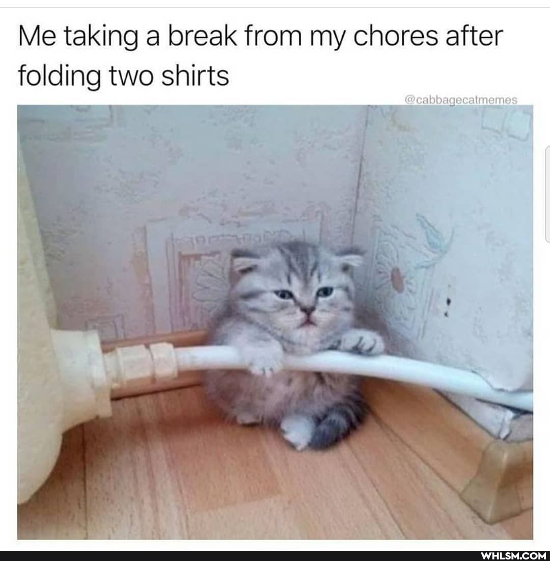 Me taking a break from my chores after
folding two shirts