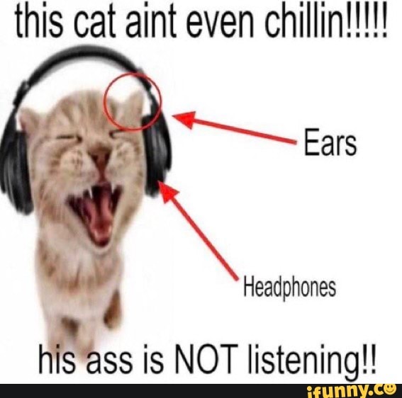 Aint even Ears Headphones his ass is NOT listening! iFunny