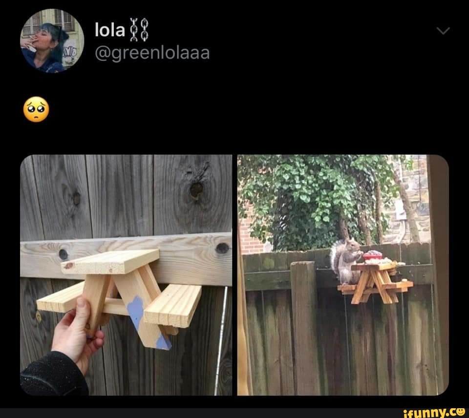 lola
@greenlolaaa