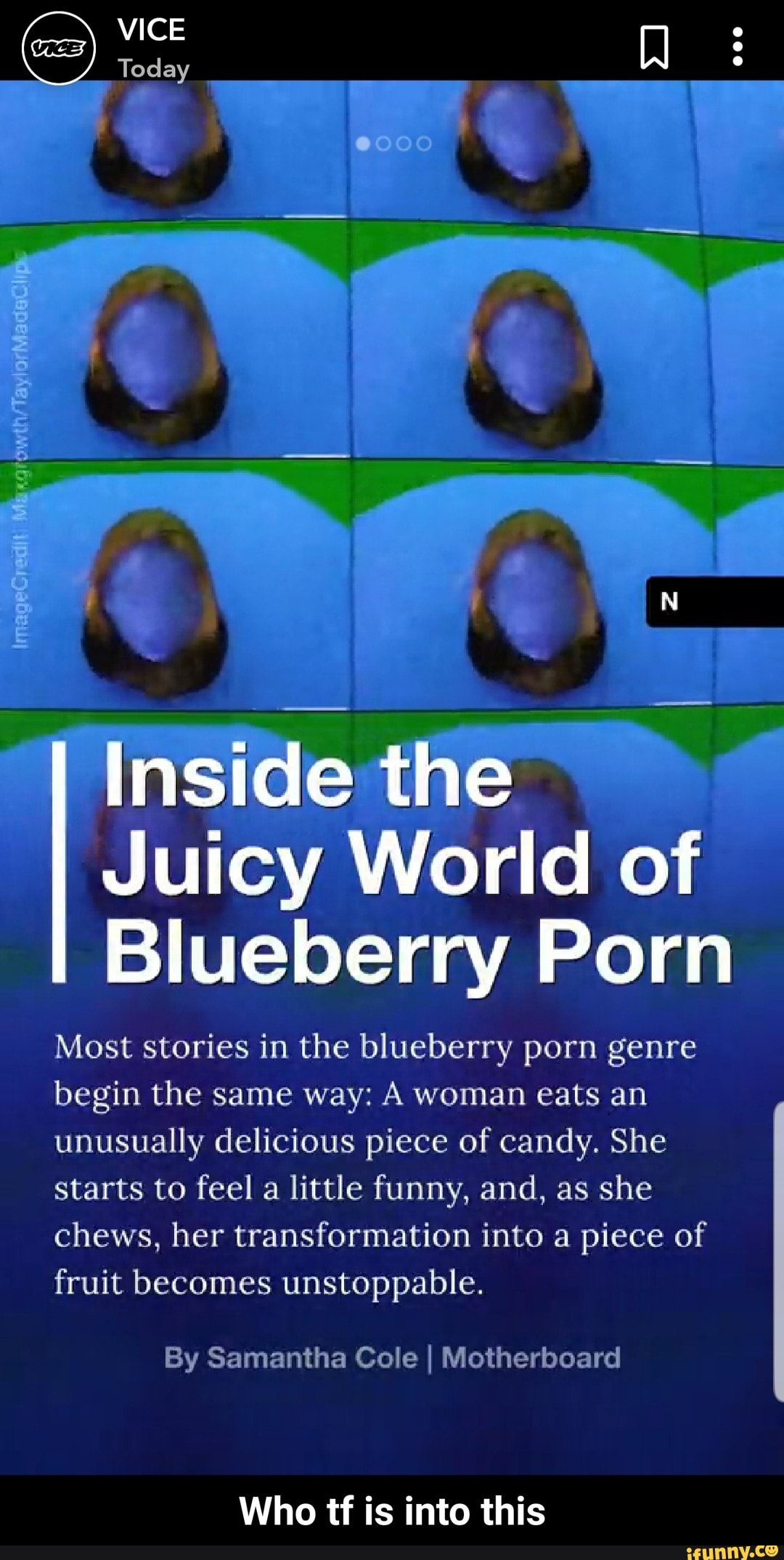 1080px x 2148px - Most stories in the blueberry porn genre begin the same way: A woman eats  an unusually