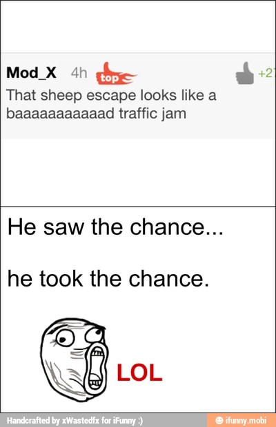 Mod X 4h
That sheep escape looks like a
baaaaaaaaaaad traffic jam
He saw the chance...
he took the chance.