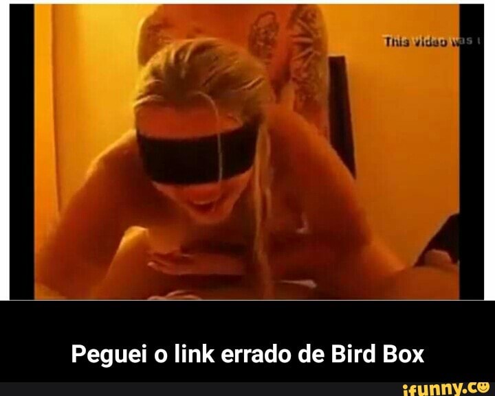 Peguei o link errado de Bird Box - Peguei o link errado de Bird Box