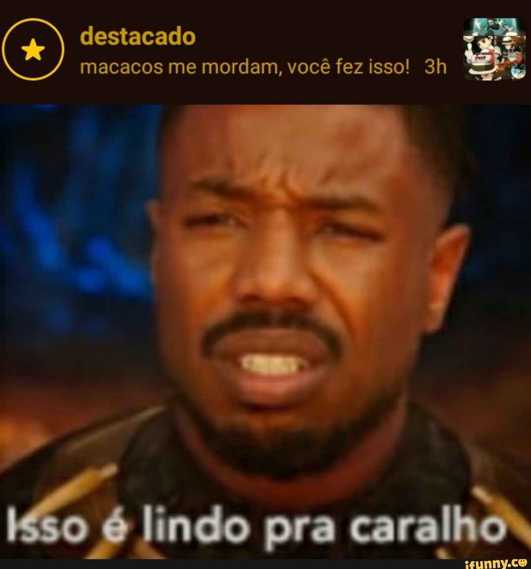 destacado k macacos me mordam, você fez isso!
lindo pra caralho"