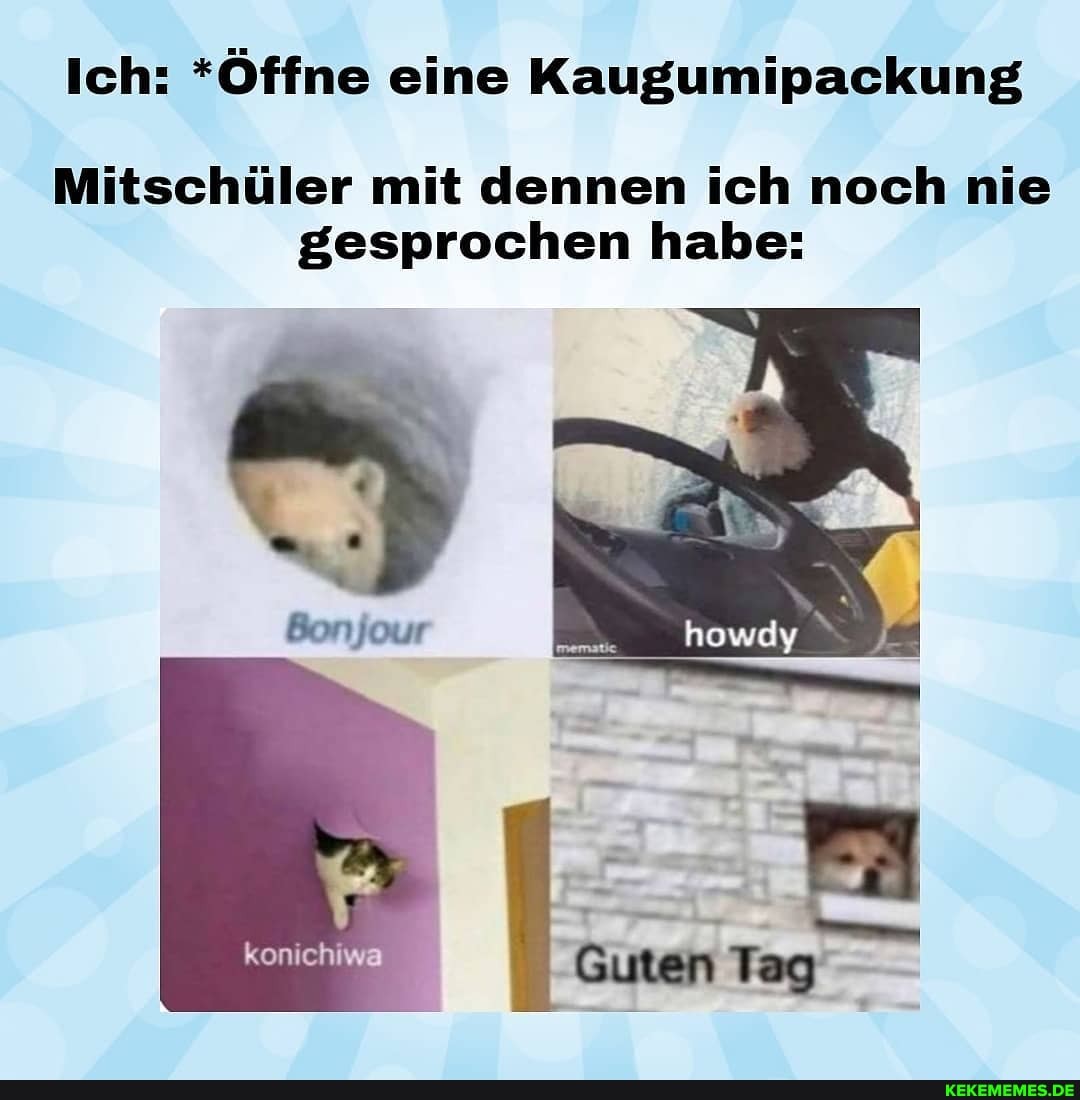 Ich: *Öffne eine Kaugumipackung
Mitschüler mit dennen ich noch nie gesprochen habe:
Bonjour
konichiwa Guten Tag