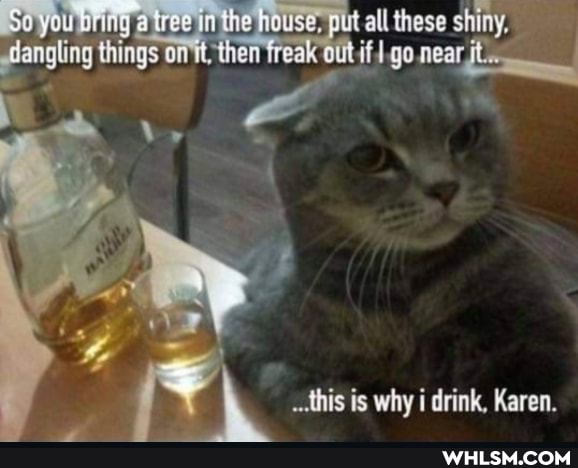 you tree inthe house, gut all these shiny, dangling things freak aut if go near
I dis is why i drink, Karen.