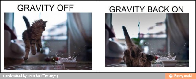 GRAVITY OFF GRAVITY BACK ON