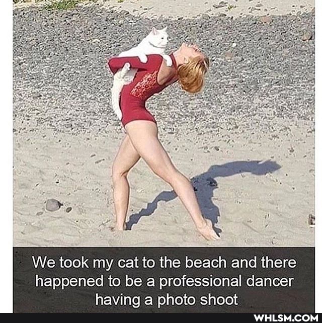 We took my cat to the beach and there happened to be a professional dancer
chont