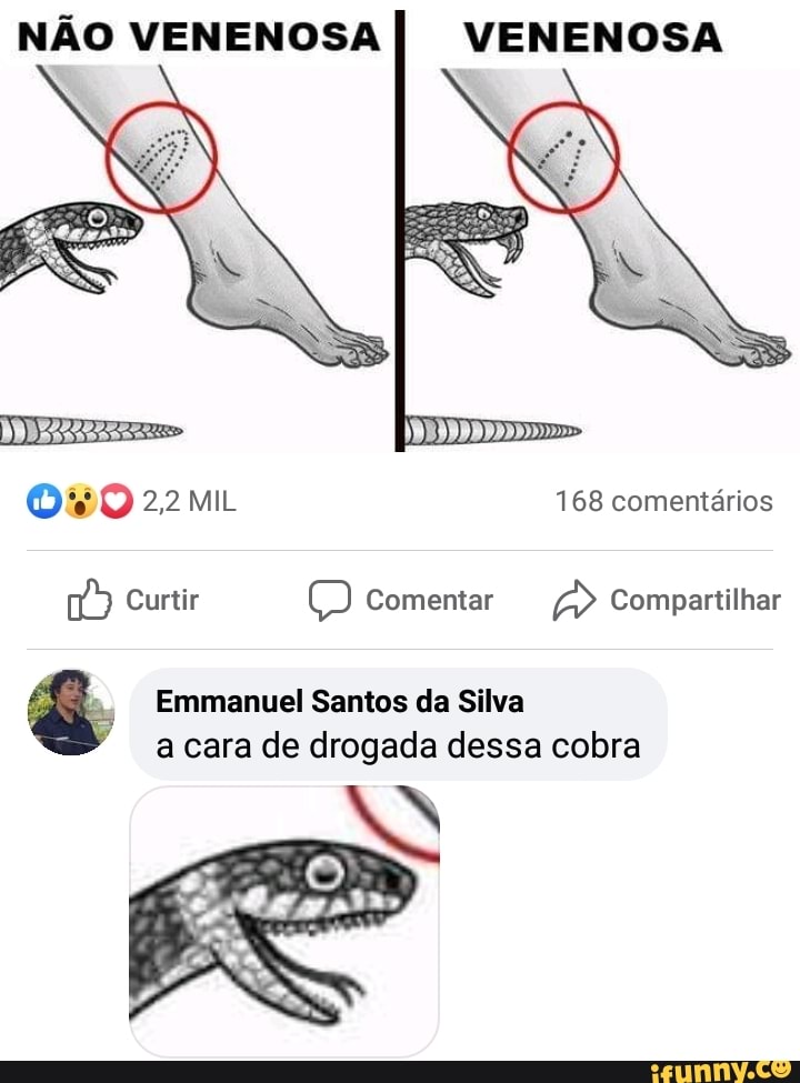 NÃO VENENOSA I VENENOSA
168 comentários
Curtir Comentar Compartilhar
Emmanuel Santos da Silva a cara de drogada dessa cobra