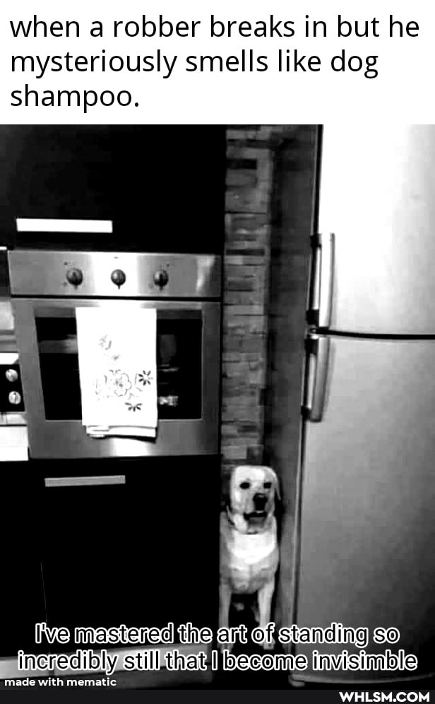 when a robber breaks in but he mysteriously smells like dog shampoo.
mastered the art of so incredibly still, that become invisimble