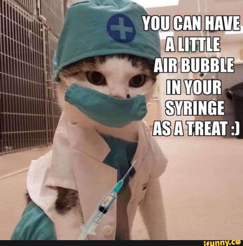 you-can-have-a-little-air-bubble-in-your-syringe-as-a-treat-ifunny