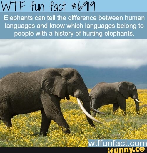 WTF fun fact #6114