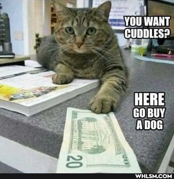 YOU WANT
HERE BUY
