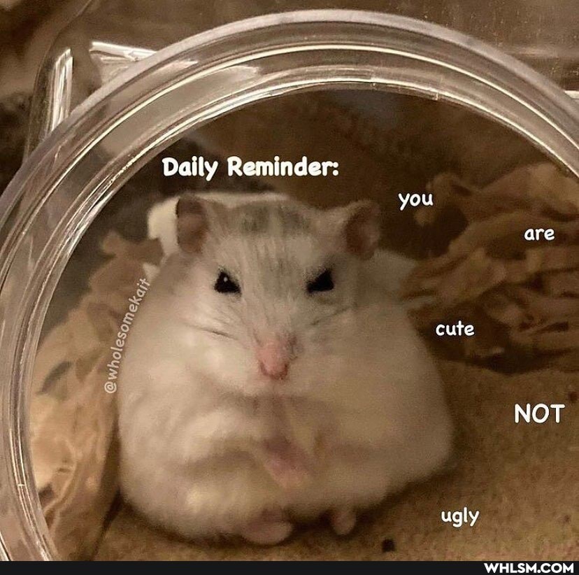 Daily Reminder:
you
are
cute
NOT
ugly