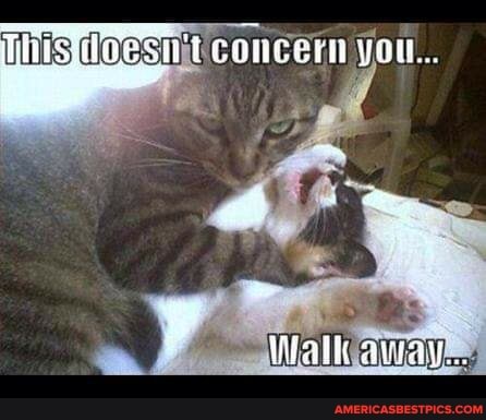 iNalht away...