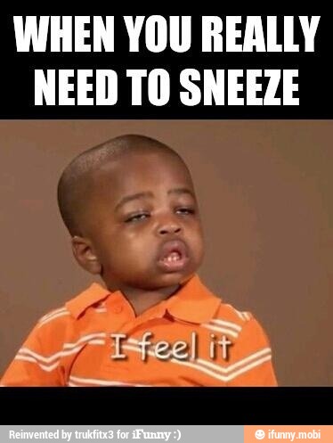 WHEN YOU REALLY
NEED TO SNEEZE