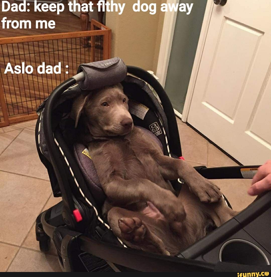 Dad: keep that filthy dog away from me
Aslo dad: