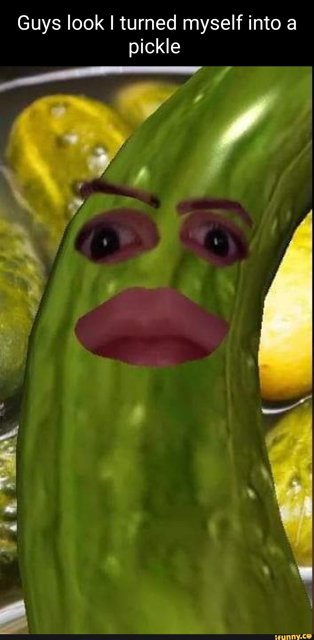 Guys look I turned myself into a pickle ca - iFunny