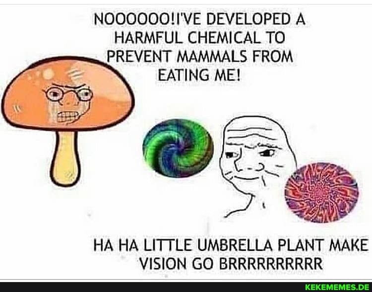 DEVELOPED A
HARMFUL CHEMICAL TO PREVENT MAMMALS ME! FROM EATING ME!
HA HA LITTLE UMBRELLA PLANT MAKE VISION GO BRRRRRRRRRR