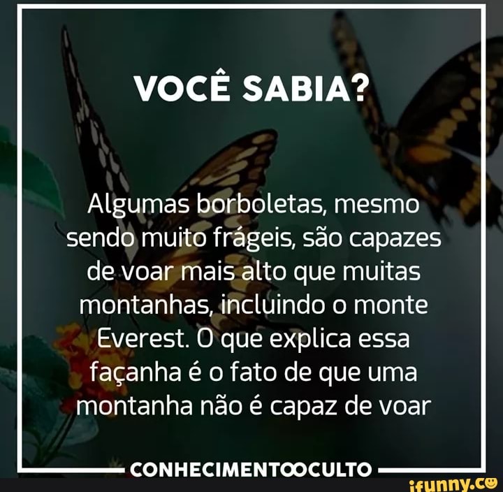 VOCÊ SABIA?
Algumas borboletas, mesmo
sendo muito frágeis, são capazes
de voar mais-alto que muitas
montanhas, ihcluindo o monte
Everest. O que explica essa
façanha é o fato de que uma
montanha não é capaz de voar
CONHECIMENTOOCULTO