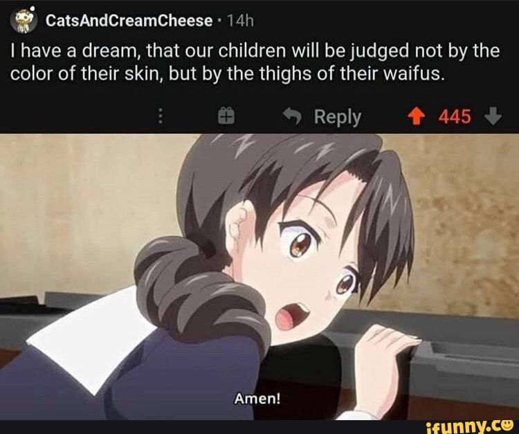 CatsAndCreamCheese
I have a dream, that our children will be judged not by the color of their skin, but by the thighs of their waifus.
Reply