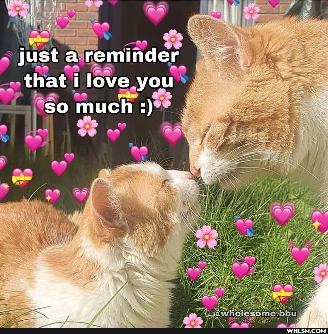 just a reminder
that i love you so much
we