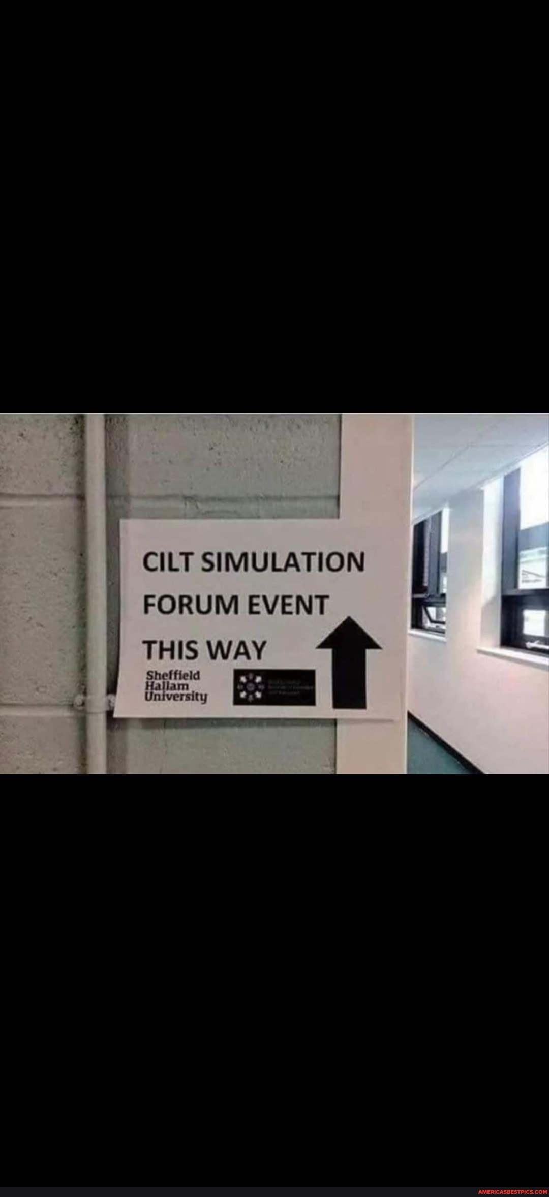 Cilt simulation