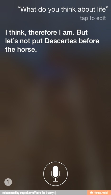"What do you think about life"
I think, therefore I am. But
let's not put Descartes before
the horse.