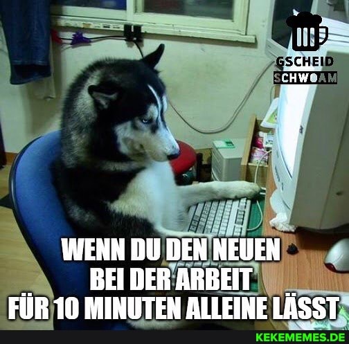 WENN DU DEN NEUEN BEIDERARBEIT FÜR MINITEN AILFINF TASST
