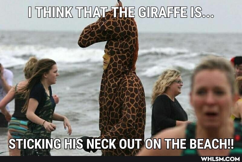 THINK THAT THE GIRAFFE IS...
STICKING HIS NECK OUT ON THE BEACH!!