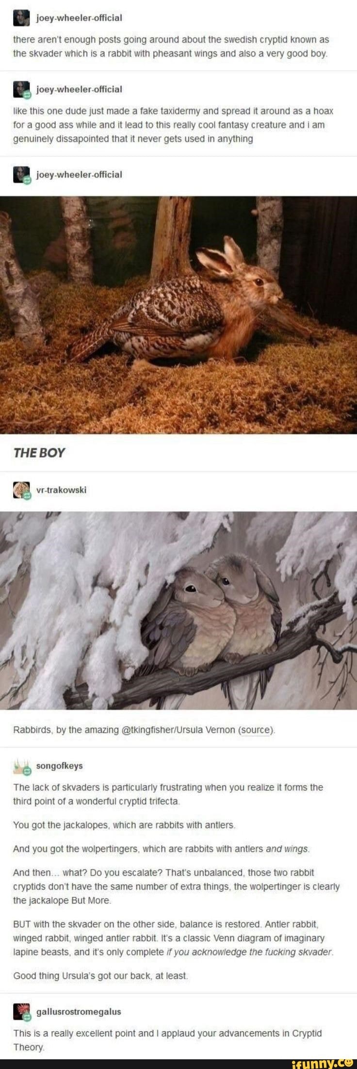 B joey wheeler ofticial wheeler official there aren't enough posts ...