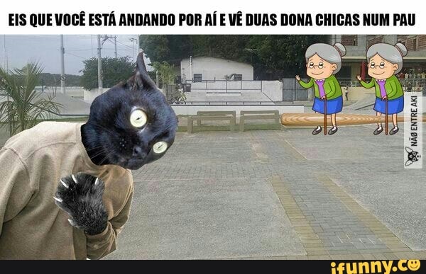 EIS QUE VOCÊ EA ANDANDO POR AÍ E VÊ DUAS DONA CHICAS NUM PAU