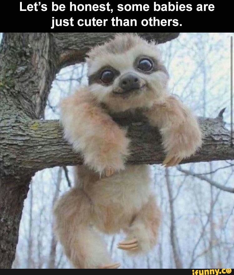 Let's be honest, some babies are just cuter than others.