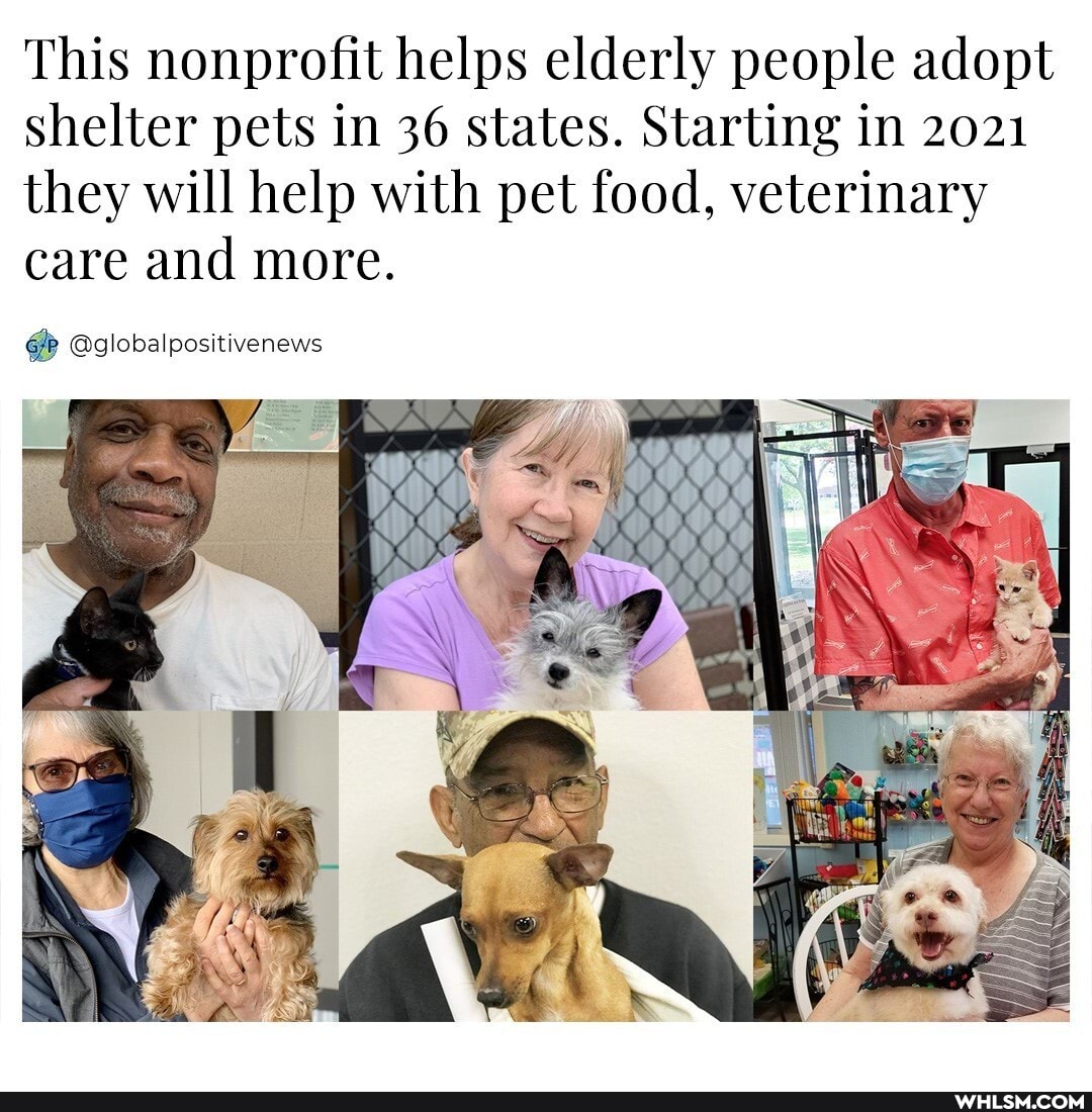 This nonprofit helps elderly people adopt shelter pets in 36 states. Starting in 2021 they will help with pet food, veterinary care and more.
@globalpositivenews