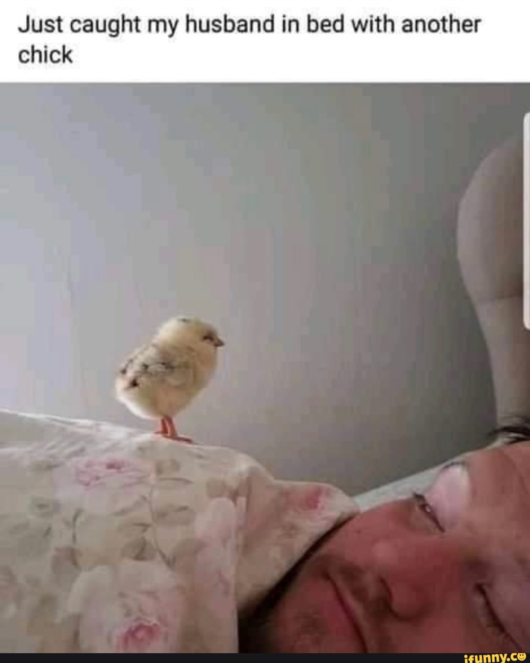 Just caught my husband in bed with another
chick